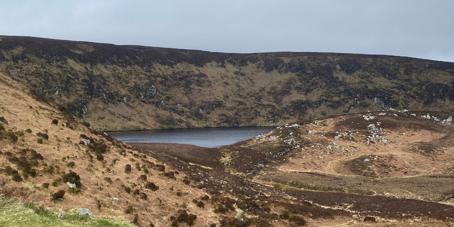 Wicklow Mountains ©privat